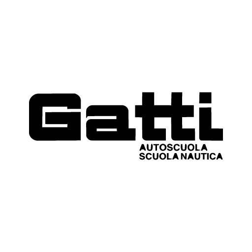 SIDA DRIVE - simulatore di guida - gatti